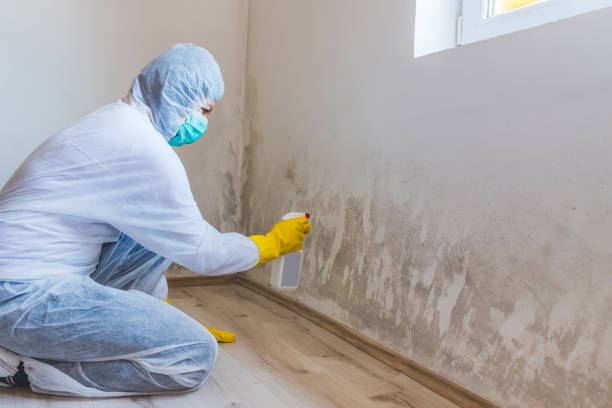 Mold Documentation for Insurance Claims in Worthington, OH