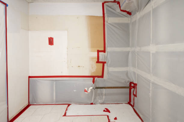 Trusted Worthington, OH Mold Removal Experts